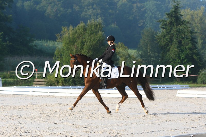 109M5917_Ricardo_Dressur L_Mannschaft.JPG